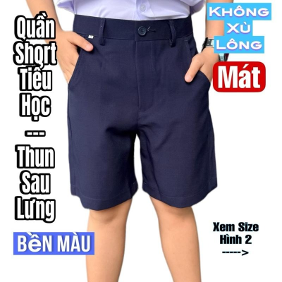 SHORT THUN SAU LƯNG