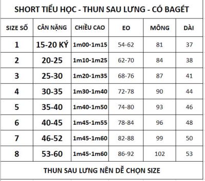 SHORT THUN SAU LƯNG